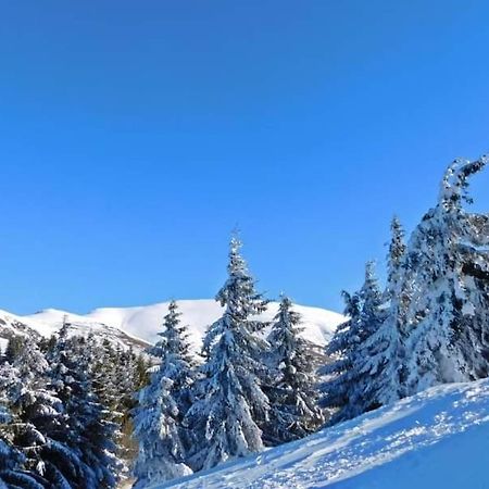 Stara Planina Vila Vesela Kuca Jalovik Izvor Extérieur photo