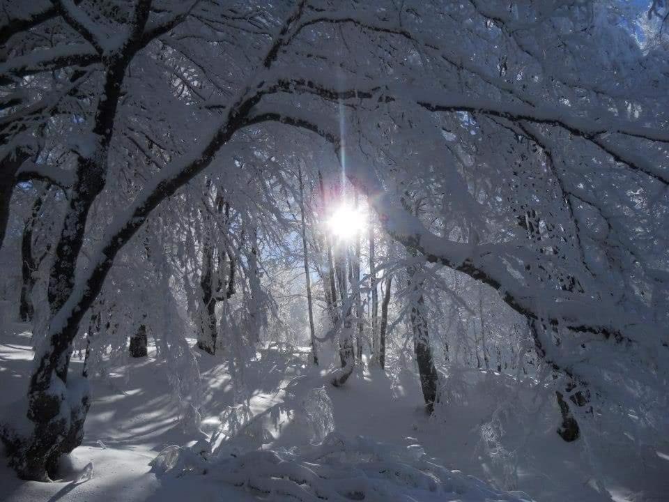 Stara Planina Vila Vesela Kuca Jalovik Izvor Extérieur photo